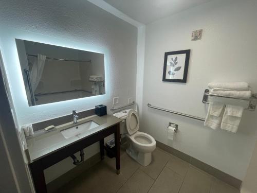 a bathroom with a sink and a toilet and a mirror at Country Inn & Suites by Radisson, Midway - Tallahassee West in Midway