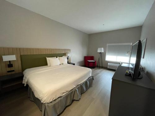 a bedroom with a bed and a flat screen tv at Country Inn & Suites by Radisson, Midway - Tallahassee West in Midway