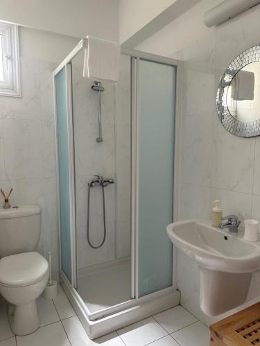 uma casa de banho com um chuveiro, um WC e um lavatório. em Sayers Beachfront Villa em Pervolia