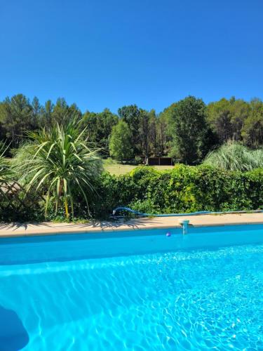 een blauw zwembad met een palmboom op de achtergrond bij Gite des Suis in Villecroze