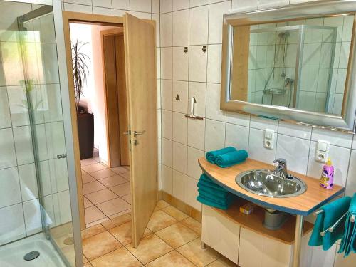 a bathroom with a sink and a mirror and a shower at Ferienwohnung Gerne-Da in Großrinderfeld