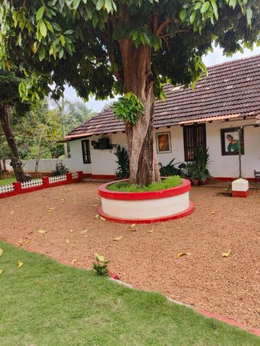 a tree in the middle of a yard next to a house at Akkara Homestay in Kottayam