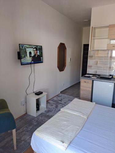 Gallery image of Apartman Petra in Bar