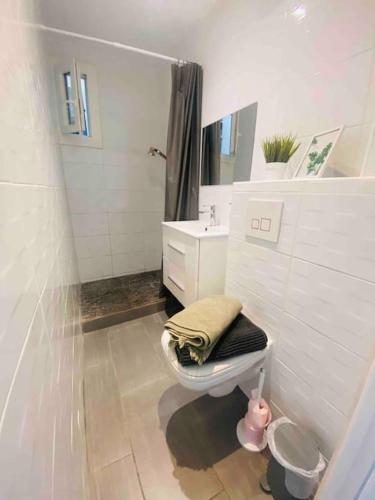 une salle de bain blanche avec des toilettes et un lavabo dans l'établissement Tropi’Case, à Villeneuve-Loubet