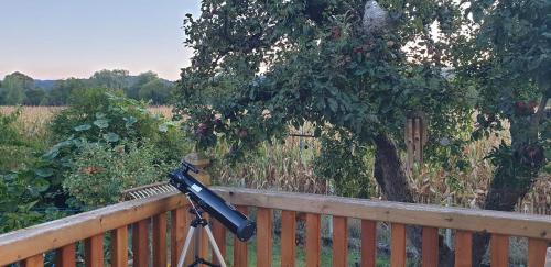 a camera on a tripod next to a fence at Hof Notburga - Erholung, Ruhe & Natur pur in Jakling
