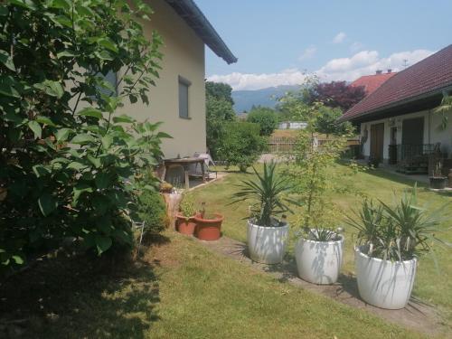 a yard with three white pots with plants in it at Hof Notburga - Erholung, Ruhe & Natur pur in Jakling