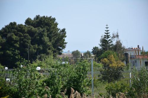 a view of a garden with trees and buildings at Hotel Maggiore in Vieste