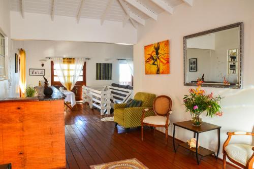 a living room filled with furniture and a mirror at The Milligan in Kingstown