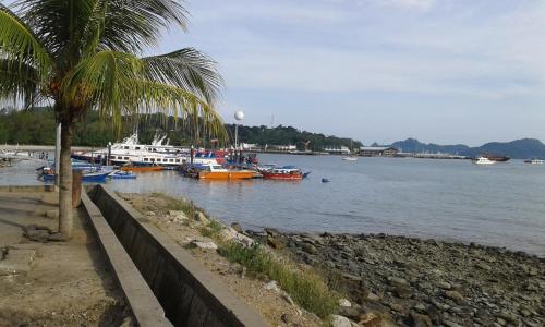 a group of boats in a body of water with a palm tree at Best Seven Inn in Kuah