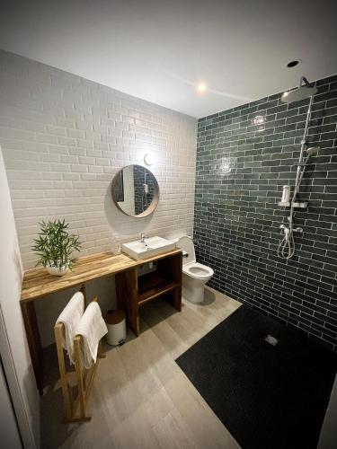 une salle de bain avec un lavabo, des toilettes et un miroir dans l'établissement Hypercentre de Vienne appartement Miami écran de cinéma proche LYON, à Vienne