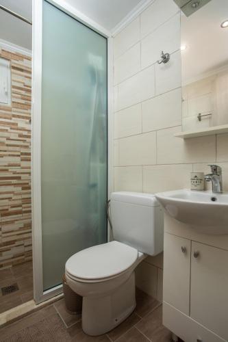 a bathroom with a toilet and a sink and a shower at Thalia's House in Pastida