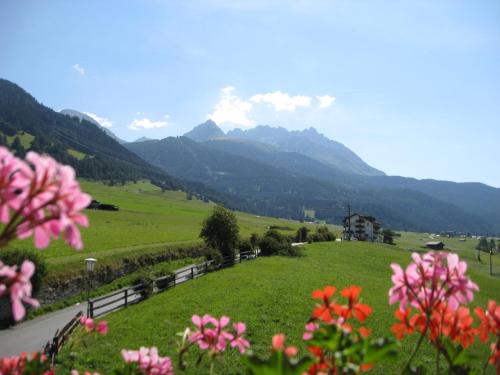 a green field with flowers and mountains in the background at Alpenrose-Apart in Nauders