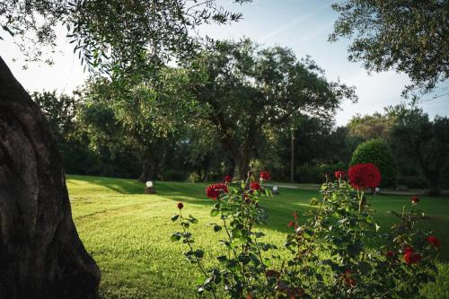 a green field with red flowers in a park at Panorama Hideaway in Dassia