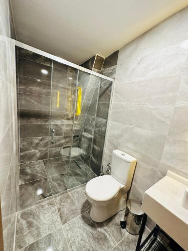a bathroom with a toilet and a shower at Nice Royal Cıty in Istanbul