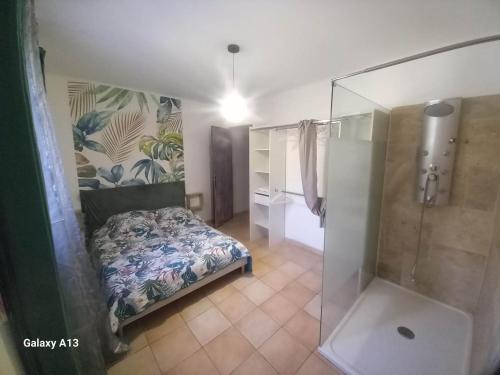 1 dormitorio con 1 cama y ducha acristalada en Charmante maison proche Aix en pce - Spa en Ventabren