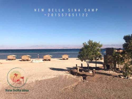 a beach with a few huts and the ocean at New Bella Sina Camp in Nuweiba