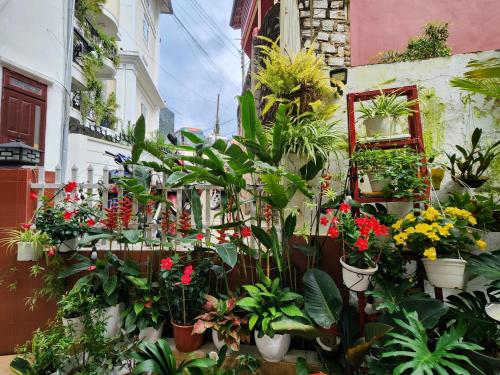 Zahrada ubytování Bình Đào Hotel - Khách sạn ngay trung tâm giá rẻ