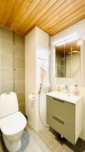 bagno con servizi igienici e lavandino di Modern family apartment next to metro easy access to Helsinki a Espoo