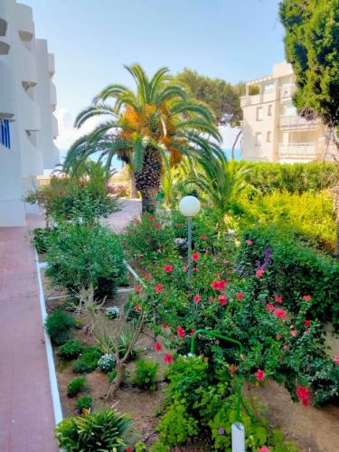 a garden with flowers and a palm tree at Margaritas in Alcossebre