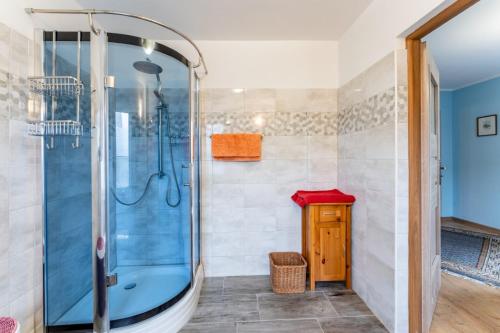 a bathroom with a shower and a tub at Agroturystyka Ziemia Obiecana in Nielestno