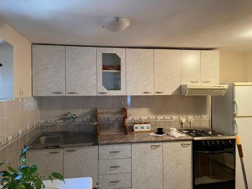 Kuchyň nebo kuchyňský kout v ubytování Starčević apartmani Orašac Aranđelovac OBAVEŠTENJE Proveriti raspoloživost putem poruke zbog učestalih lažnih rezervacija