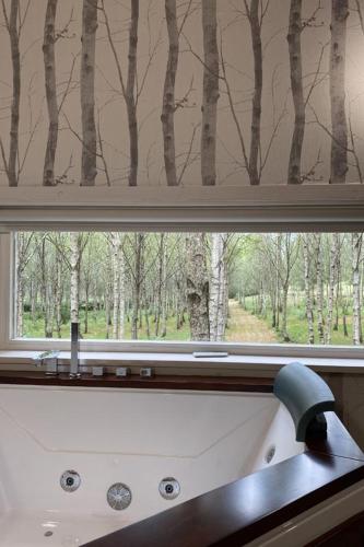a window with a sink and a window with trees at Cabanas da Ulla in Touro