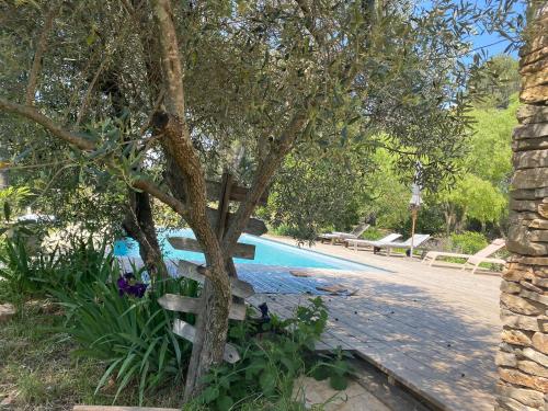 un arbre assis à côté d'une piscine dans l'établissement La Pampa, à Nîmes