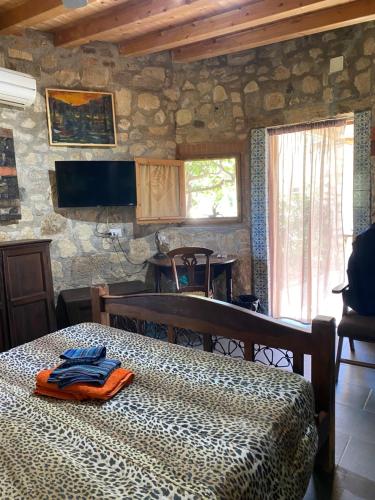 諾托的住宿－Masseria Usamborgia，一间卧室设有一张床和石墙