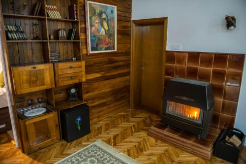 a living room with a woodburning stove in a room at Chalet Iris with sauna in Kolašin