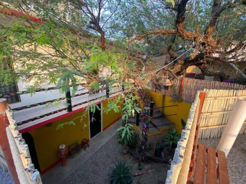a yellow building with a bench and a tree at Encantadora casa tradicional con terraza in Oaxaca City