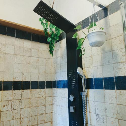 La salle de bains est pourvue d'une douche murale avec des plantes. dans l'établissement Chambres d'hôtes dans Mas avec jardin en bord de rivière, à Saumane