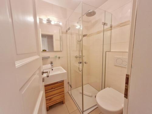 a bathroom with a shower and a toilet and a sink at Deichhof Whg 6 in Dunsum
