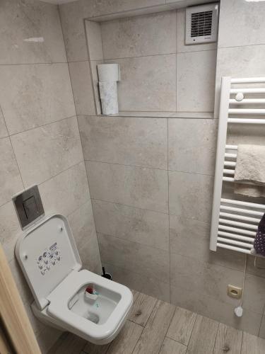 a bathroom with a toilet and a sink at Mieszkanie Rampa in Iława