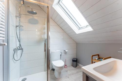 a bathroom with a shower and a toilet and a sink at Agroturystyka Ziemia Obiecana in Nielestno