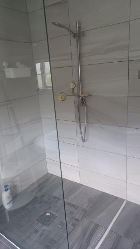 a shower with a glass door in a bathroom at Valley lodge in Belfast