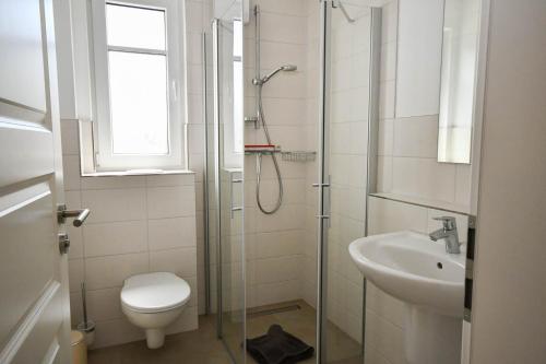 ein Bad mit einer Dusche, einem WC und einem Waschbecken in der Unterkunft Zum Klabautermann in Bresewitz