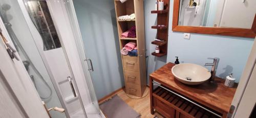 uma pequena casa de banho com um lavatório e um chuveiro em Gîte des écuries de la paguere em Aurignac