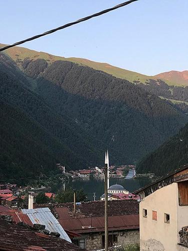 a view of a town with a mountain in the background at Garden House Uzungöl in Uzungöl