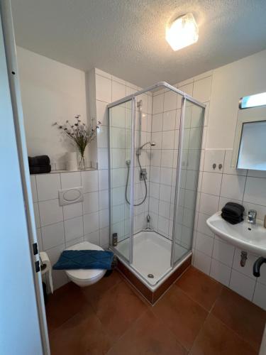 een badkamer met een douche, een toilet en een wastafel bij Garten mit einzigartigem Panoramablick UG - nahe Bodensee und Messe in Tettnang