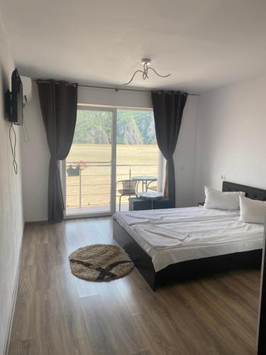- une chambre avec un lit et une grande fenêtre dans l'établissement Casa Adrian, à Eşelniţa