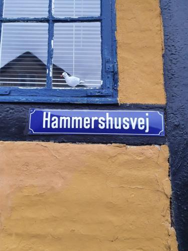 Un uccello è seduto su un cartello in una finestra di Sandvighus a Allinge-Sandvig