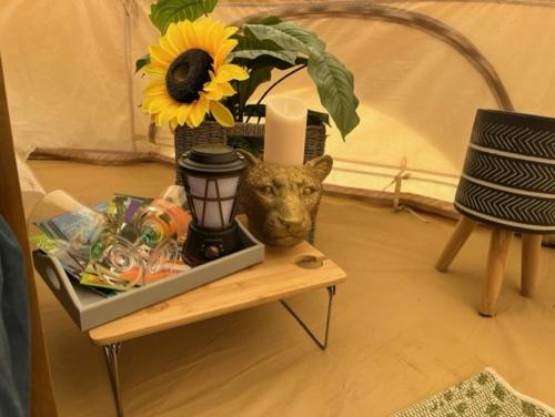uma mesa com uma planta e um vaso sobre ela em Betrice Bell Tent em Poulton le Fylde