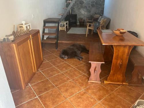 a black dog laying on the floor next to a table at Casa Pardalitos in Alandroal