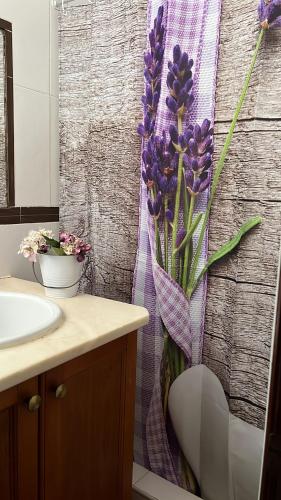 a bathroom with a shower curtain with purple flowers at Casa Pardalitos in Alandroal