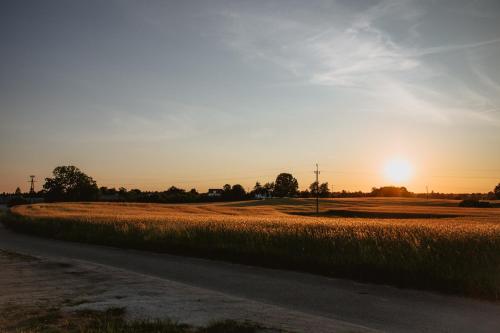 a field of grass next to a road with the sunset at Widokówka Kaszuby in Mirachowo