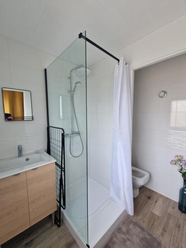 La salle de bains est pourvue d'une douche en verre et de toilettes. dans l'établissement GUIDEL-PLAGES Studio Lumineux Balcon Vue Mer & Piscine, à Guidel