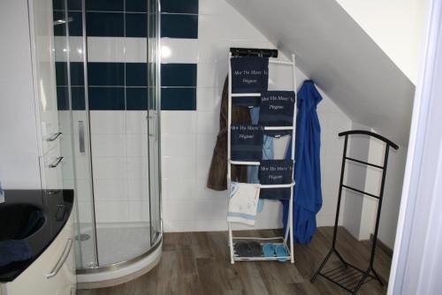 サルゾーにあるMOR-HA-MARCH Chambres d'Hôtesのバスルーム(シャワー付)、はしご、棚が備わります。