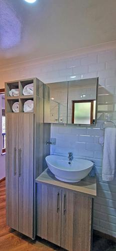 a bathroom with a sink and a large mirror at Loskop Serene Bush Cabin in Winterkamp