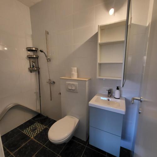 uma casa de banho com um WC, um lavatório e um chuveiro em Bepina em Gradac