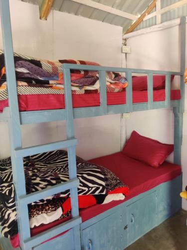 two bunk beds in a room with a red bed at Last Stop Riverside wooden Huts, Camps & Dorms in Manāli